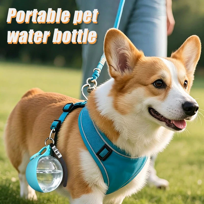 Pet water bottle, leak proof travel cup for dogs and cats